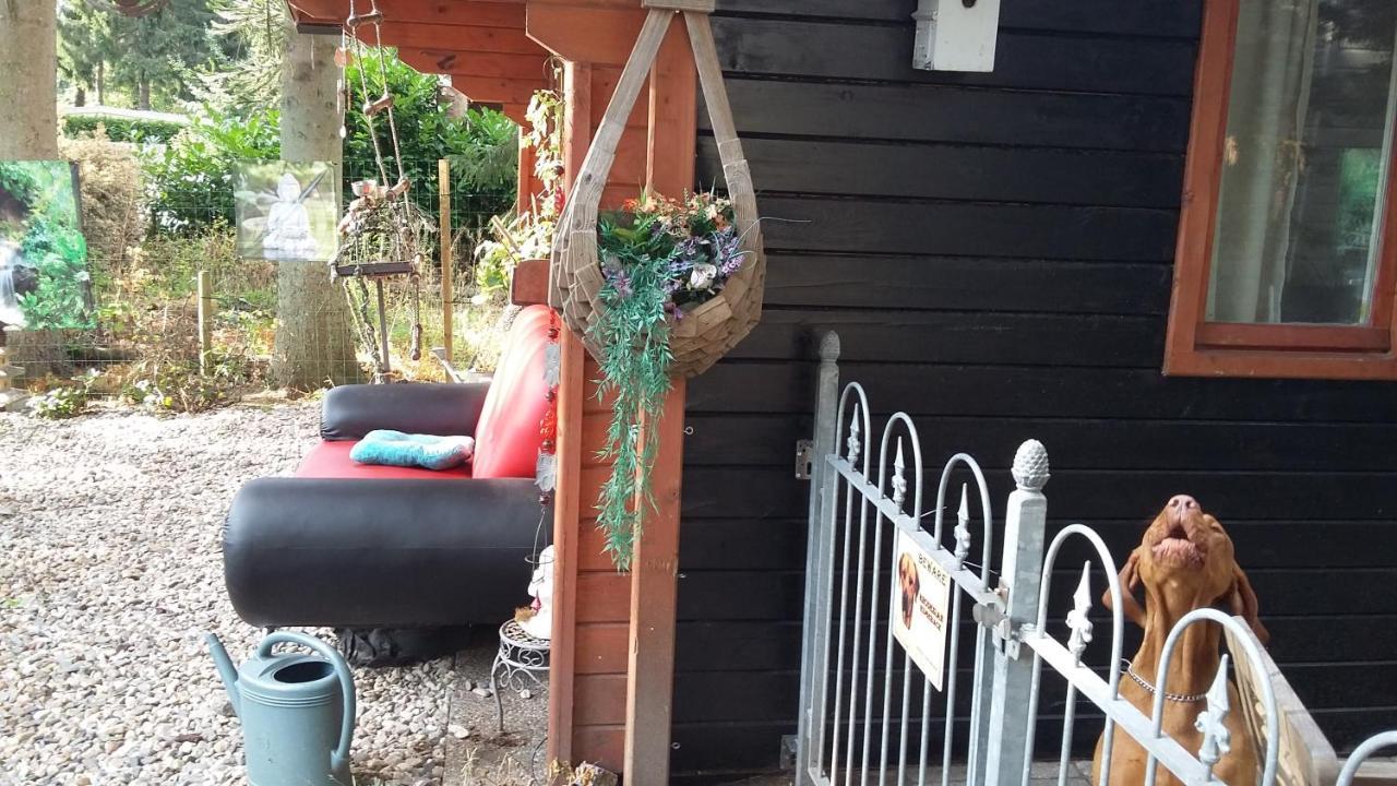 Chalet Op Een Rustig Park In De Natuur พุทเทิน ภายนอก รูปภาพ
