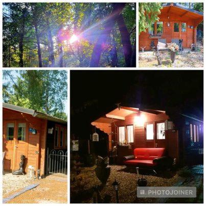 Chalet Op Een Rustig Park In De Natuur พุทเทิน ภายนอก รูปภาพ
