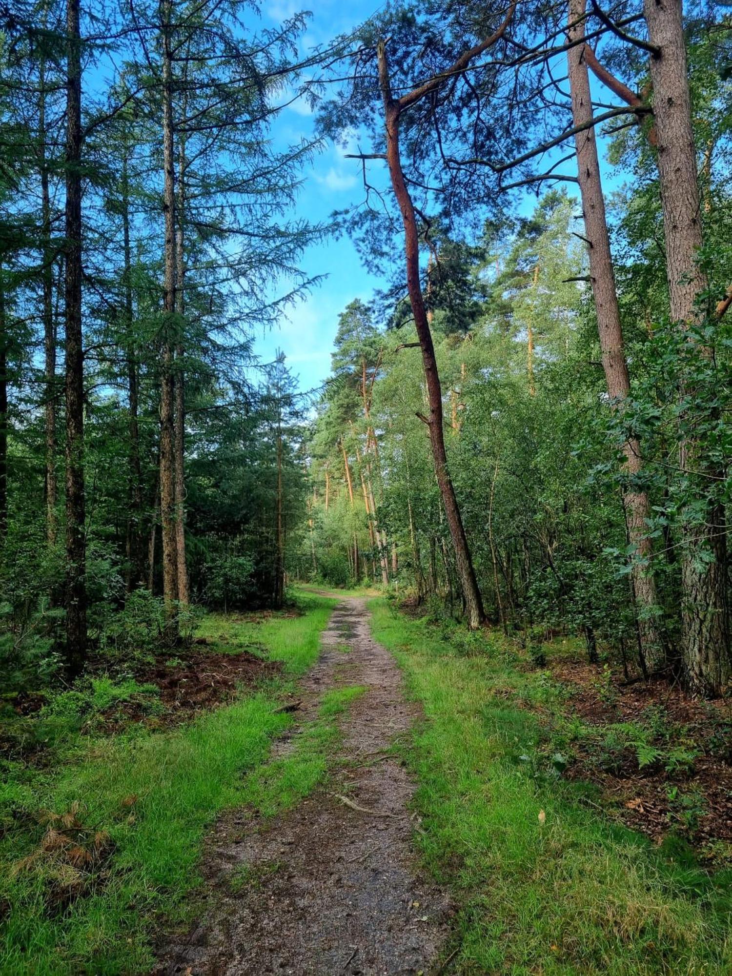 Chalet Op Een Rustig Park In De Natuur พุทเทิน ภายนอก รูปภาพ
