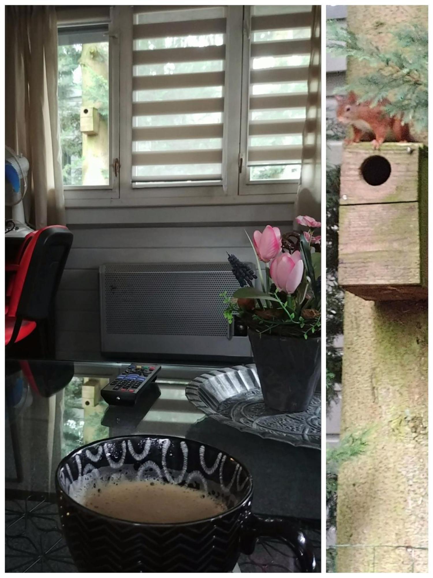 Chalet Op Een Rustig Park In De Natuur พุทเทิน ภายนอก รูปภาพ
