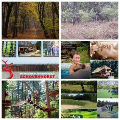 Chalet Op Een Rustig Park In De Natuur พุทเทิน ภายนอก รูปภาพ